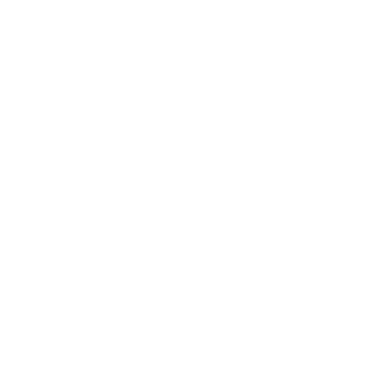 Baires House